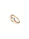 Blue & Pink Tourmaline 14kt Yellow Gold Ring